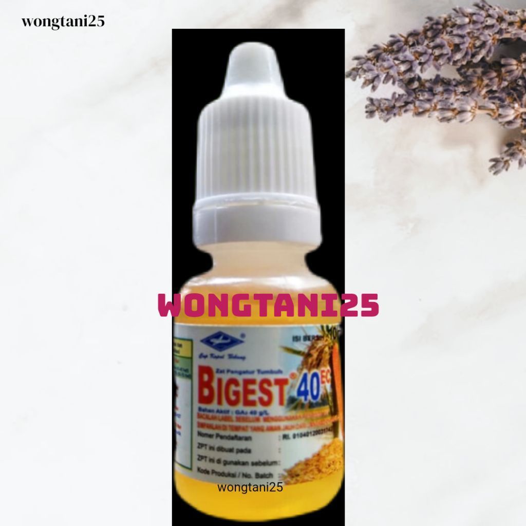 zpt bigest 10ml zat pengatur tumbuh bigest tetes 10ml