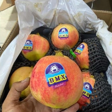 DELIMA. BUAH DELIMA POMEGRANATE. POME BUAH DELIMA