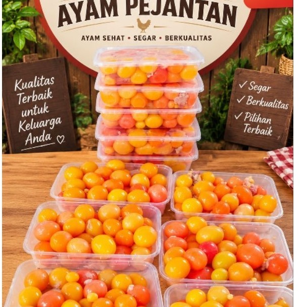Telur Uritan Muda Ayam 500gr Segar Dan Lembut