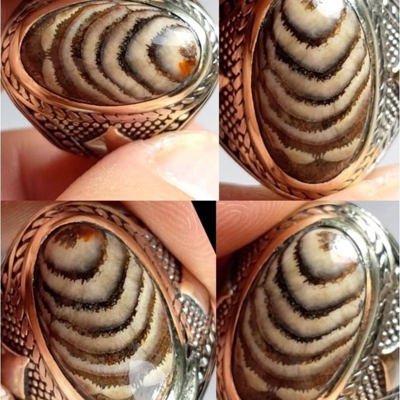 NATURAL CINCIN JHIPEN POSER MOTIF KEPONGPONG AJIB ANTIK