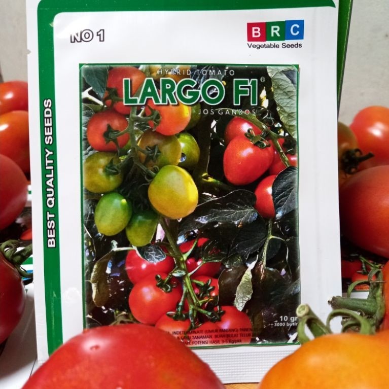Benih tomat buah hibrida LARGO F1 5 gram Asli BRC isi ± 2500 butir benih