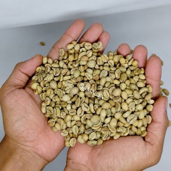 Green Bean WONOSALAM Kopi Excelsa PREMIUM | Aroma Nangka Khas | Biji Kopi Excelsa