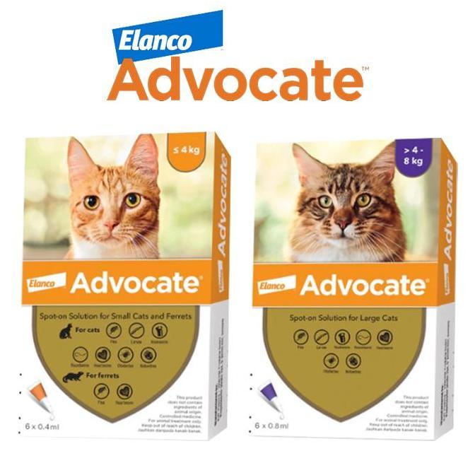 ADVOCATE Cat Elanco Obat Kutu Kucing Advocate