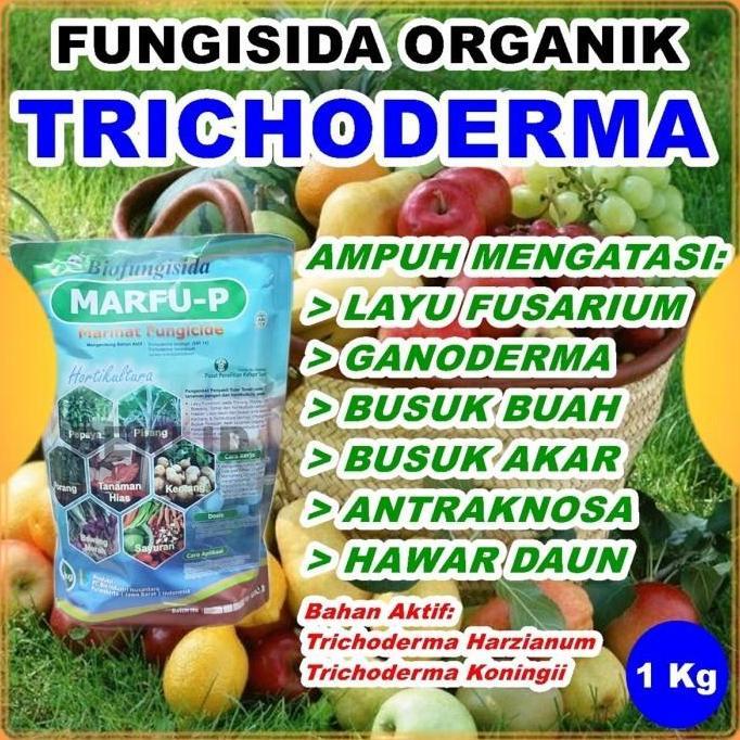 Tricoderma 1 kg Fungisida Organik Trichoderma Pembasmi Jamur Marfu P