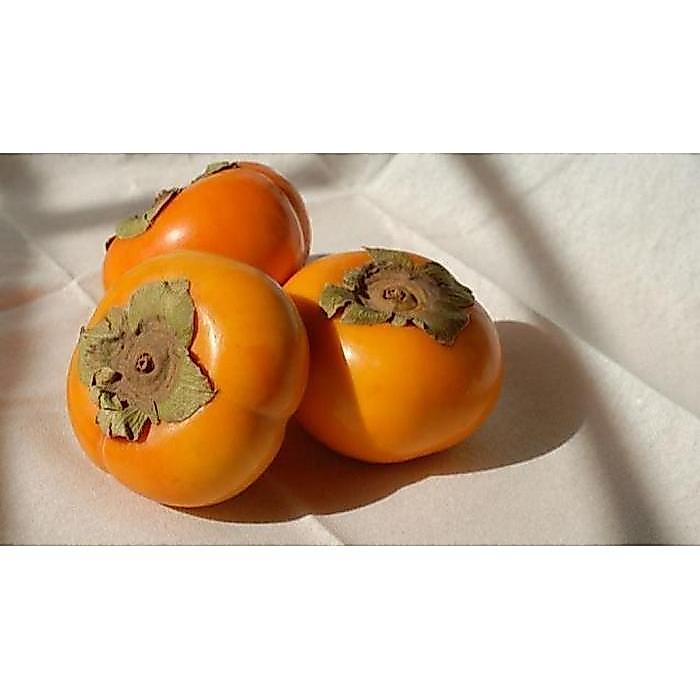 Buah Kesemek