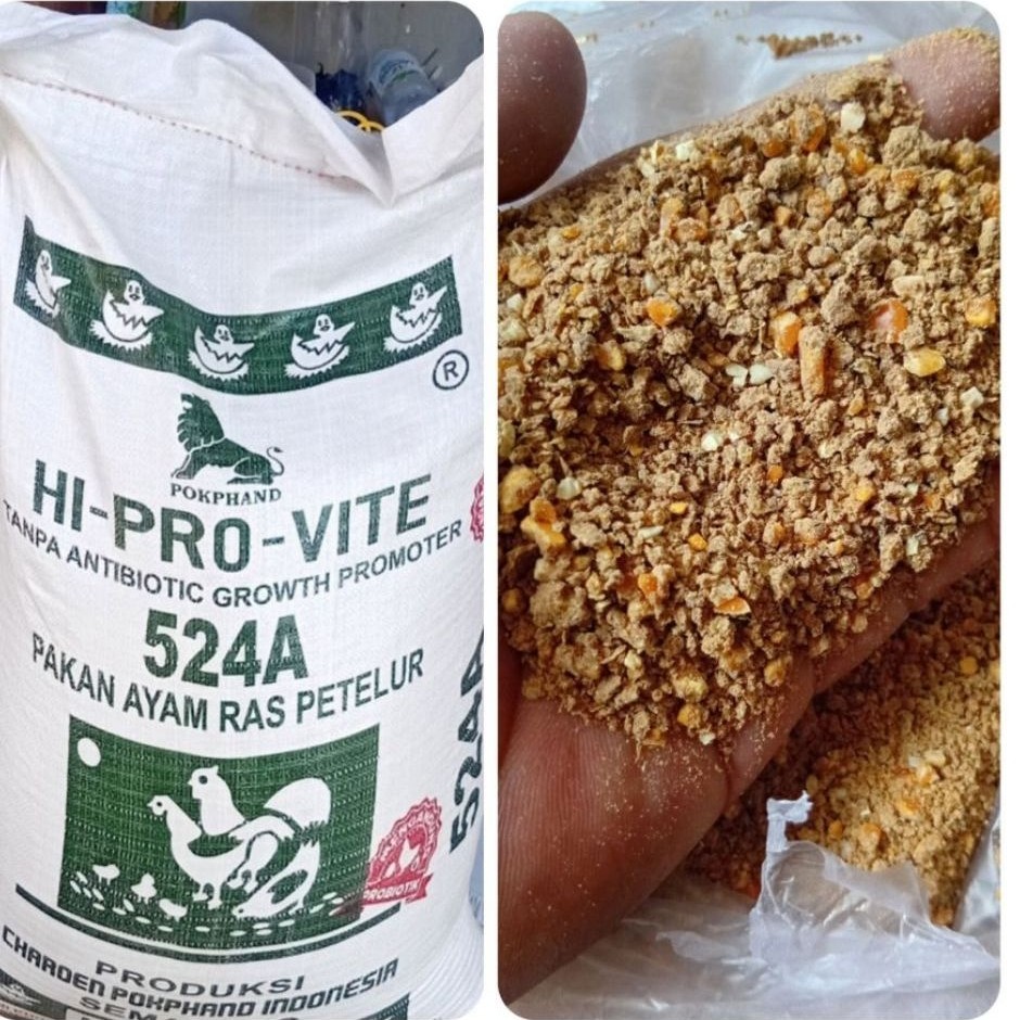 Pakan Ayam Petelur 524A