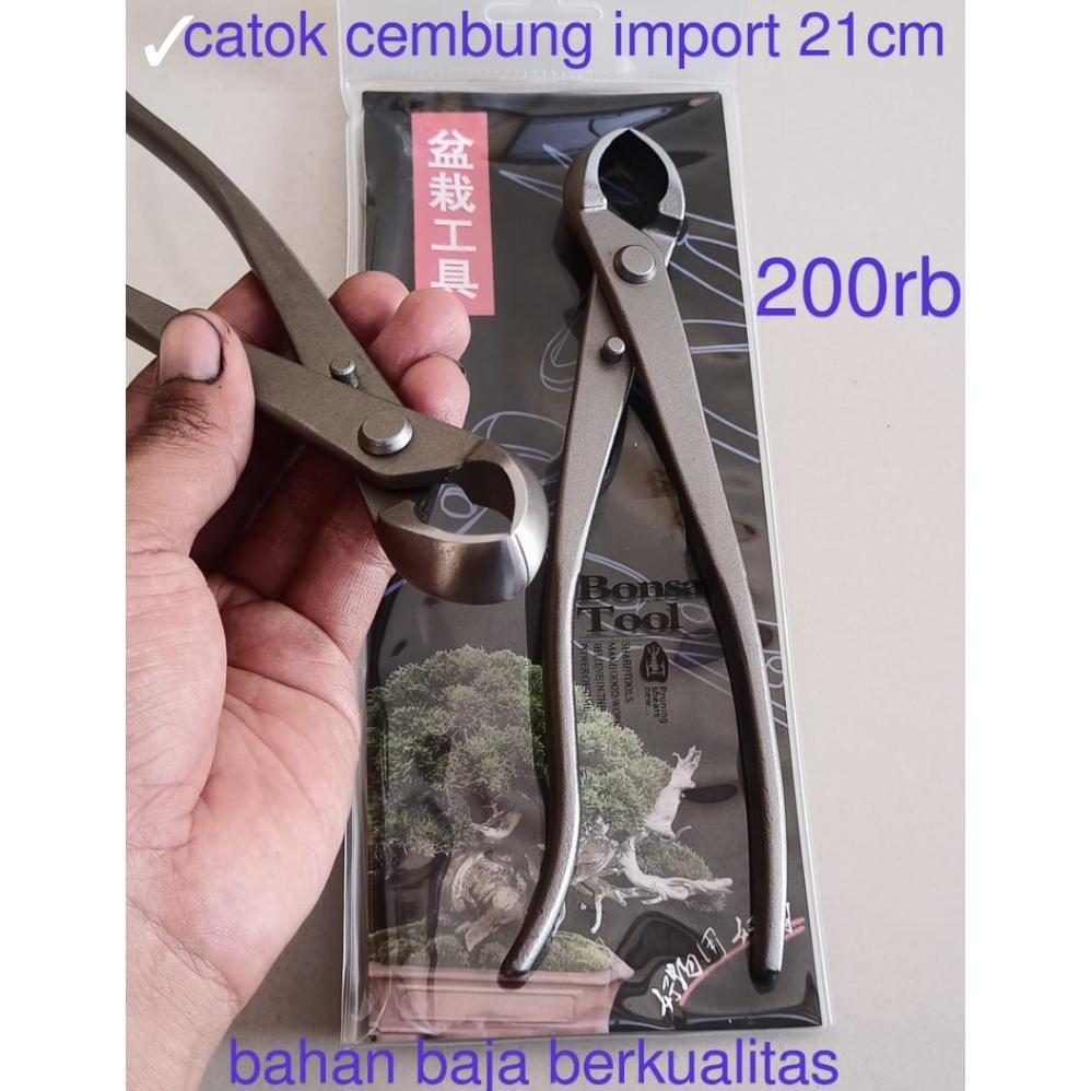 Catok Bonsai cembung 21 cm Catut cembung brand Miswan original tanaman bonsai
