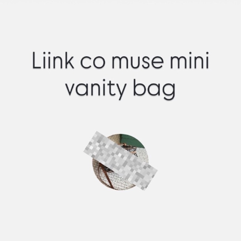 muse mini vanity bag