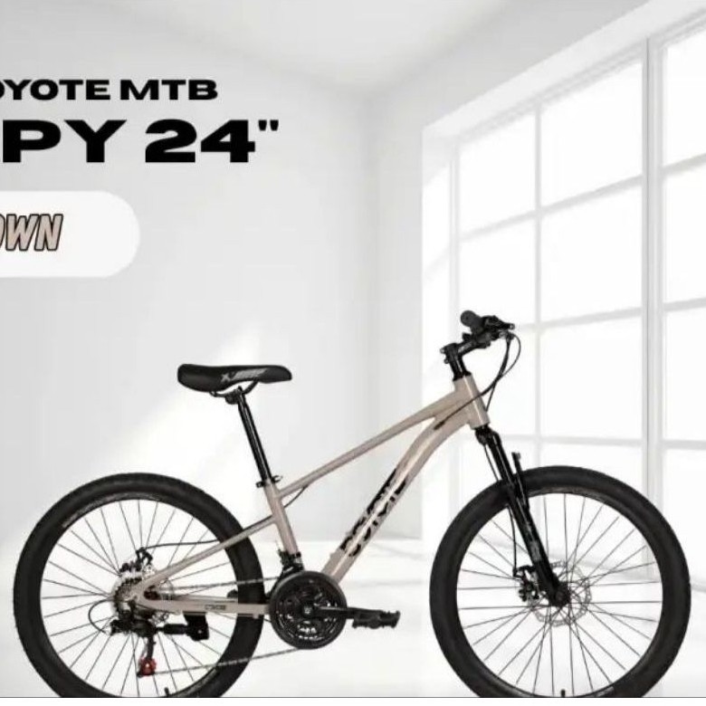 SEPEDA MTB ELEMENT COYOTE 24 SPY /sepedajogjapromo