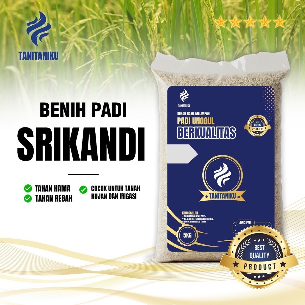Benih padi bibit padi SRIKANDI kualitas original kemasan 5 kg