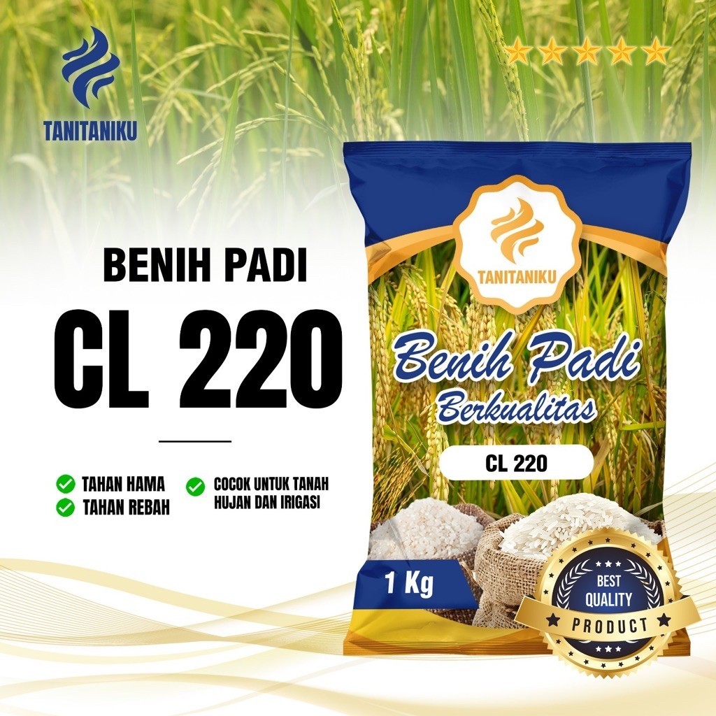 Benih padi bibit padi CL220 kualitas original kemasan 1 kg