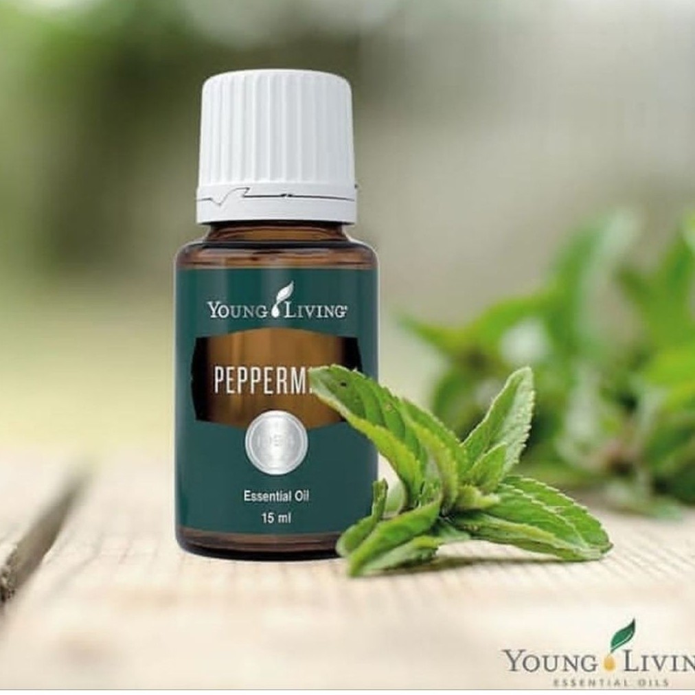 peppermint 15ml segel yLeo