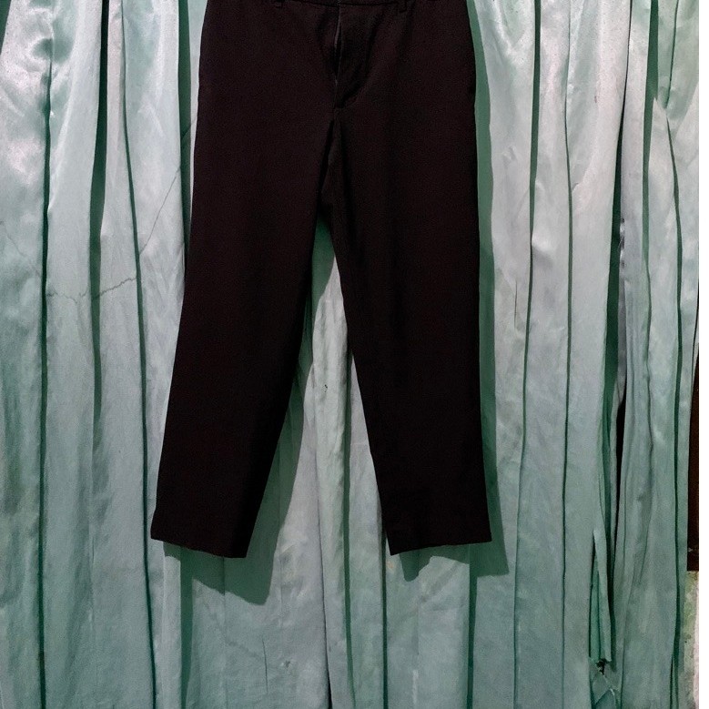 UNIQLO ANKLE PANTS