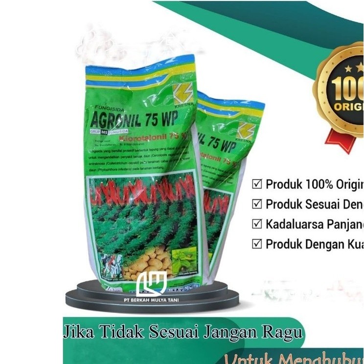 Agronil 75 WP Fungisida Klorotalonil 75% Melindungi Cabai Kentang dari Jamur