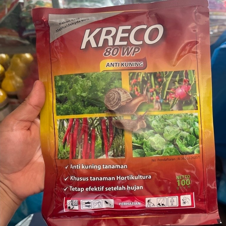 moluskisida molista krespo kreco ukuran 100gram