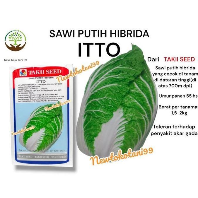 Benih Sawi Itto 20Ml Sawi Putih Petsay Itto Dari Takii Seed