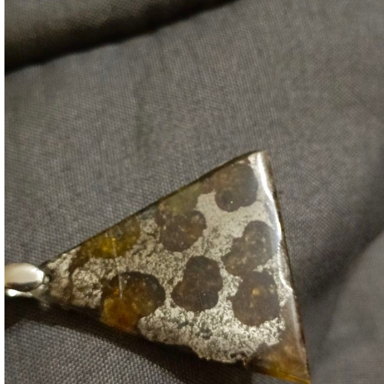 meteor pallasite