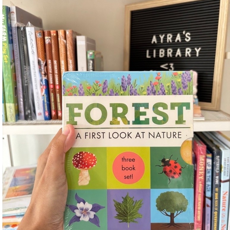 Hidden World : Forest A First Look At Nature Boardbook Set 3 Book Imported Children Book