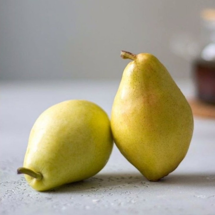 Pear XiangLi Premium