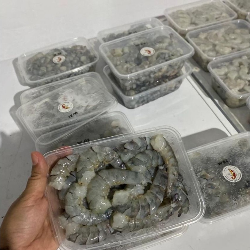 udang windu kupas