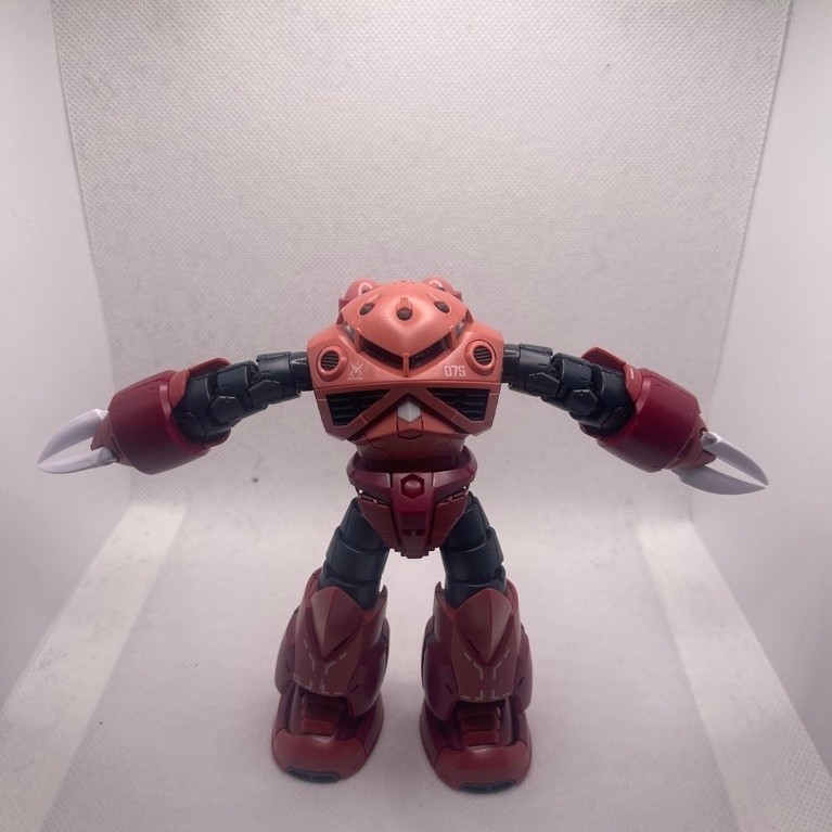 Bandai Gundam RG Zgok 1/144 2nd