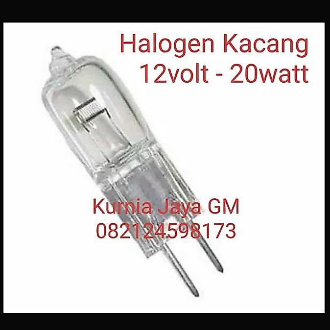 Halogen Kacang 12volt 20watt /Lampu Hias Halogen 2pin 12volt 20 watt