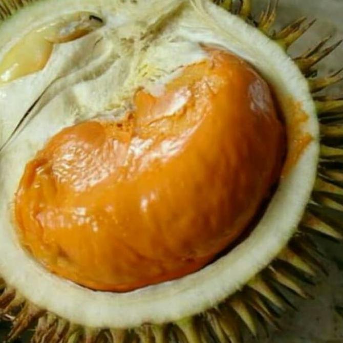 DISKON DURIAN LAY KAKI 3