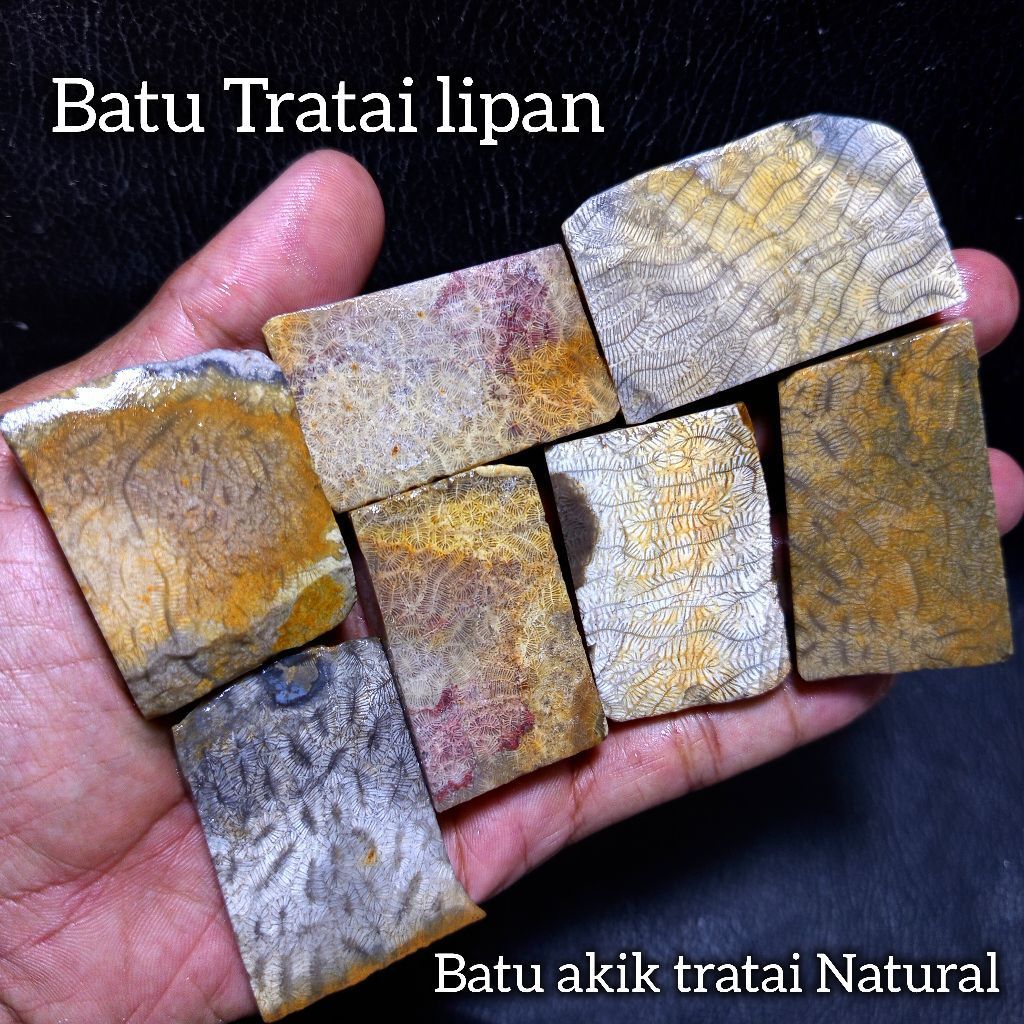 Batu Akik Teratai Lipan Natural Untuk Cincin/bahanan batu teratai lipan/bongkahan batu akik teratai 