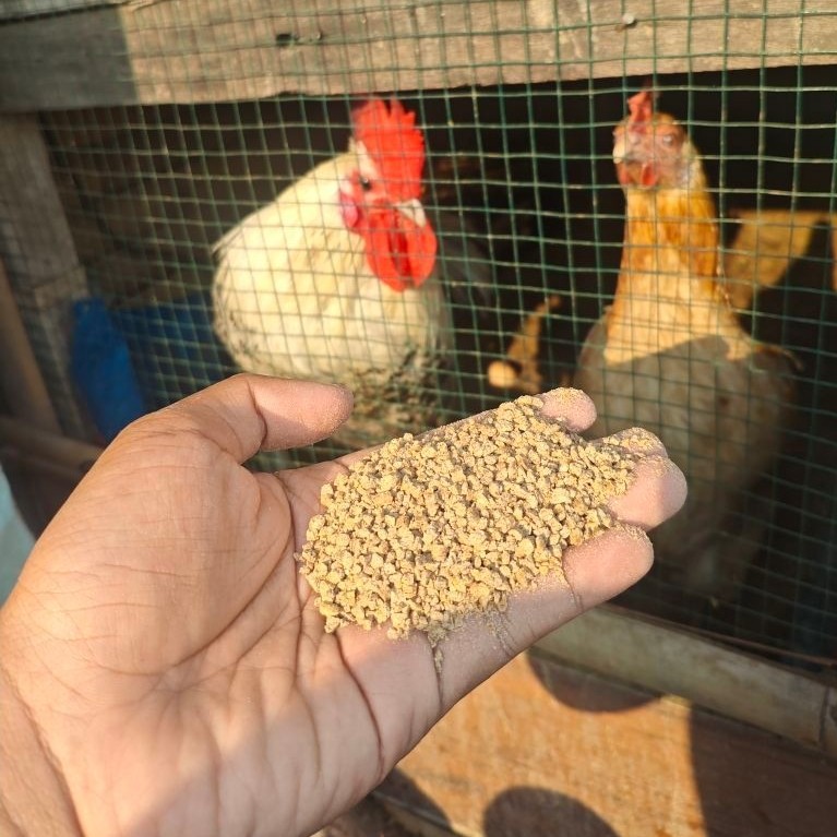 PUR PAKAN AYAM POKPHAND 511