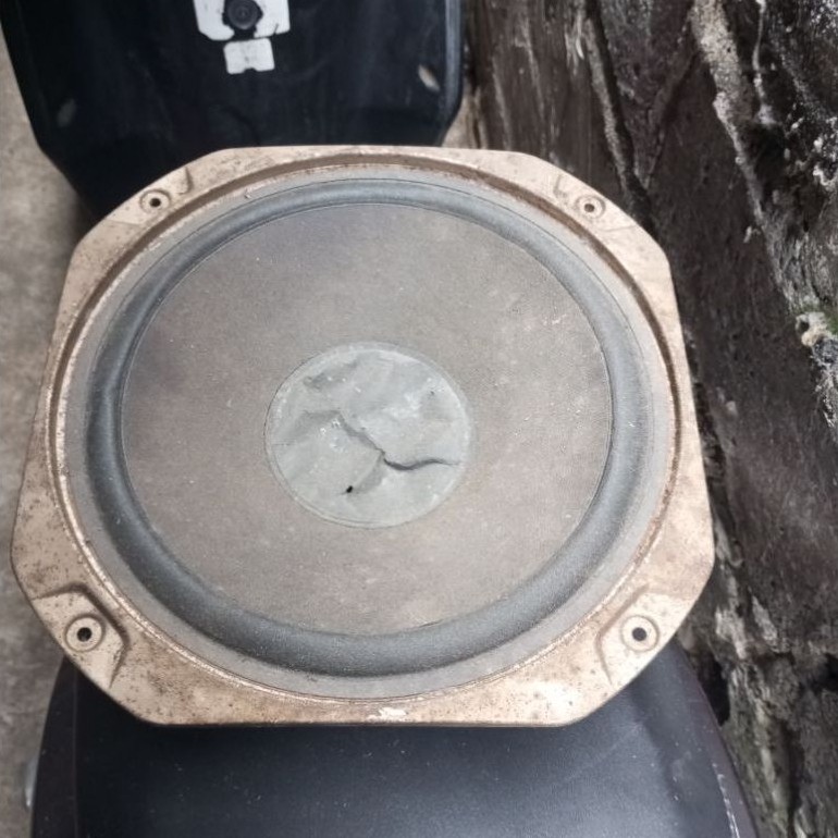speker sony 10 inc sebatang kara