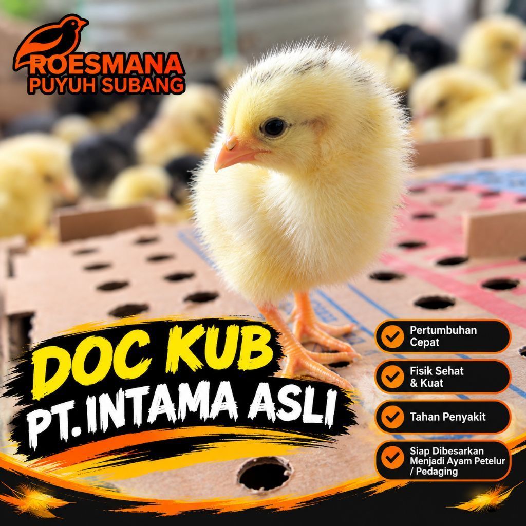 DOC KUB PT INTAMA