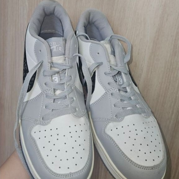 Air Jordan 1 Low Retro Dior Second KW