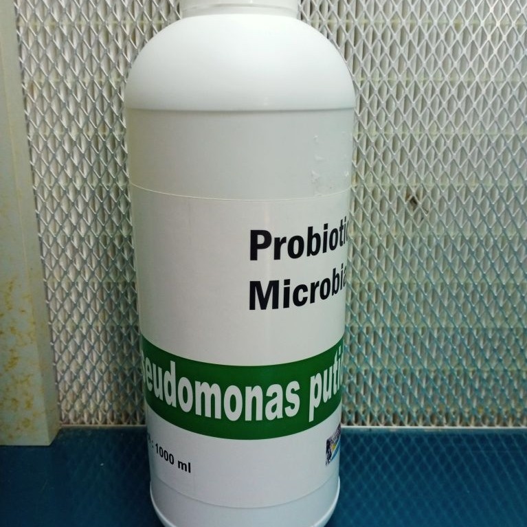 Pseudomonas putida 1000 ml