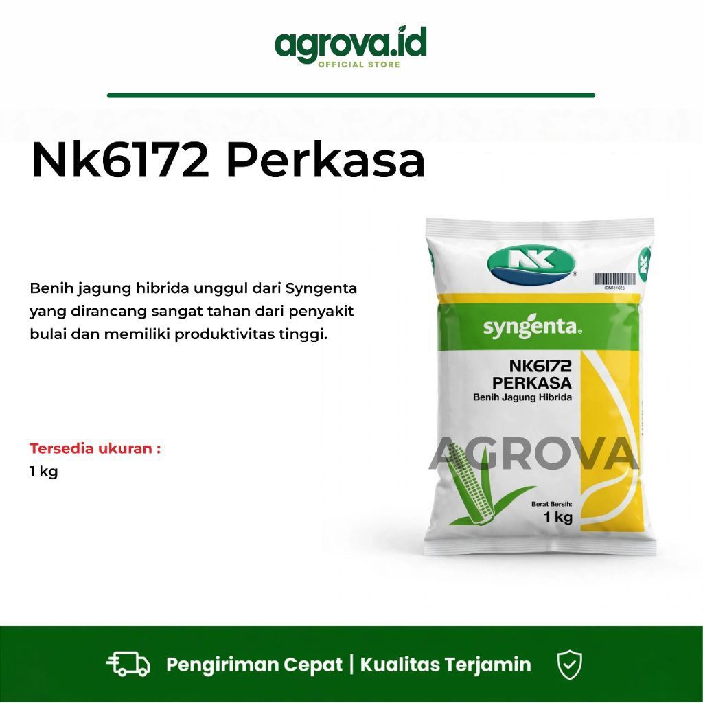 Benih Jagung NK6172 Perkasa Syngenta Kemasan 1 kg - Hasil Mantap & Kualitas Hebat