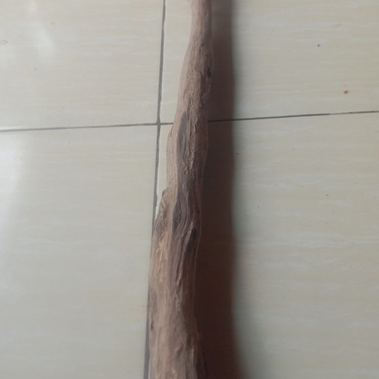 kayu galih Sonokeling