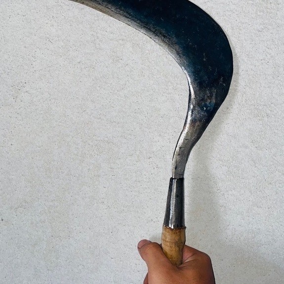 Sabit/Arit Pengaritan Rumput Baja Asli