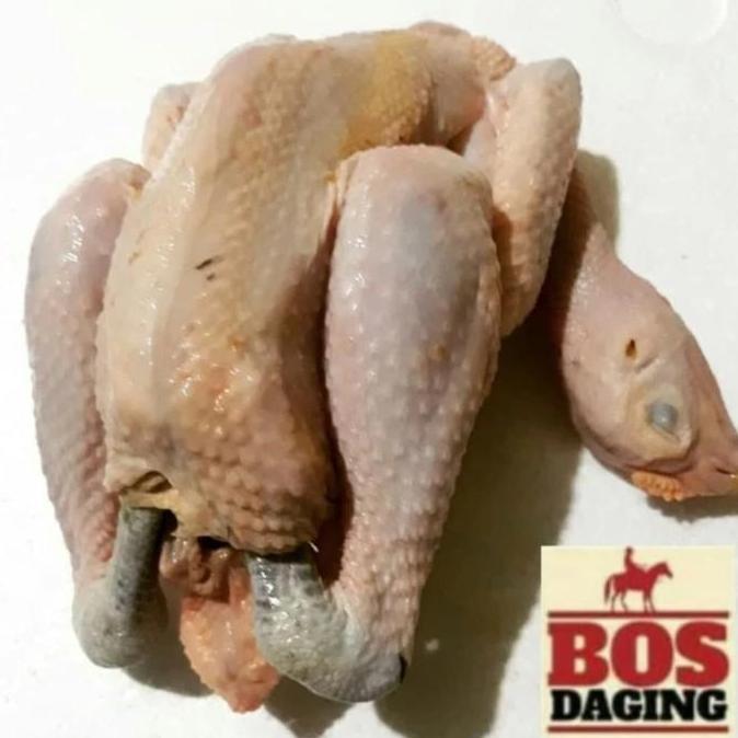 Butter- Daging Ayam Kampung Utuh Dijamin Fresh Segar
