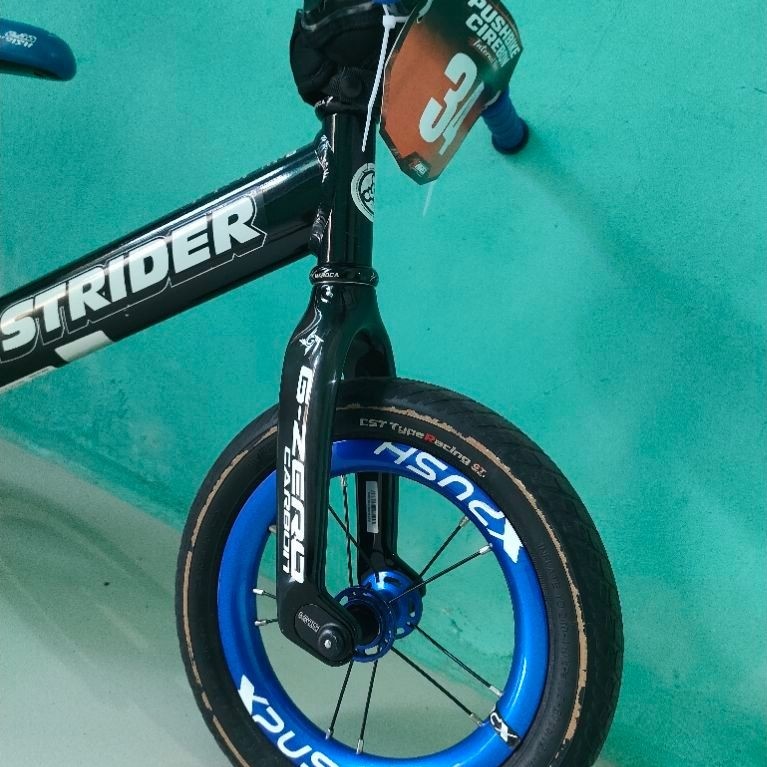 PUSHBIKE STRIDER PRO DAN FORK GIPSY