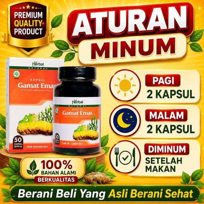 Farmasi- Kapsul Gamat Emas , Kapsul Gamat, Gamat Kapsul