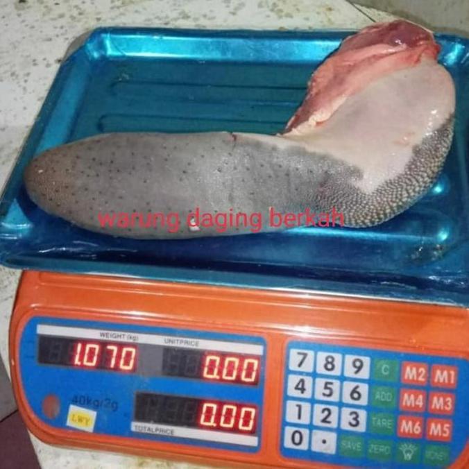 Food- Lidah Sapi Lokal Fresh