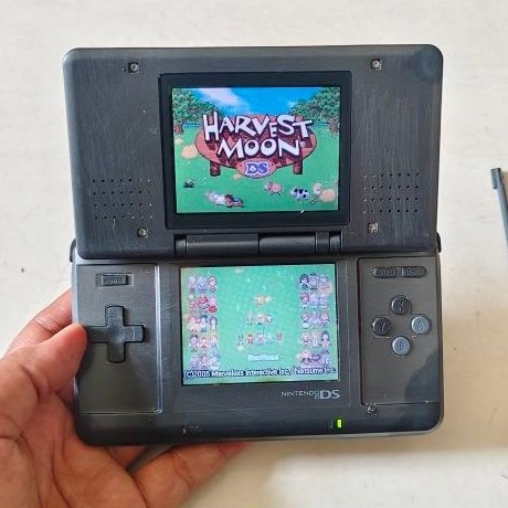 NDS fat bonus game