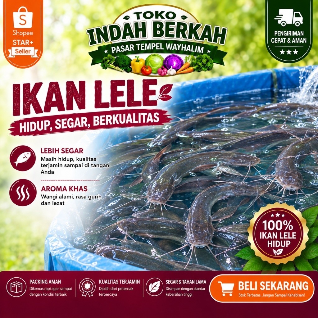 Ikan Lele Hidup