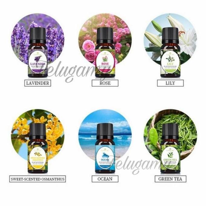 Aromatherapy Oil Essential Oil Minyak Diffuser Esensial - Freesia