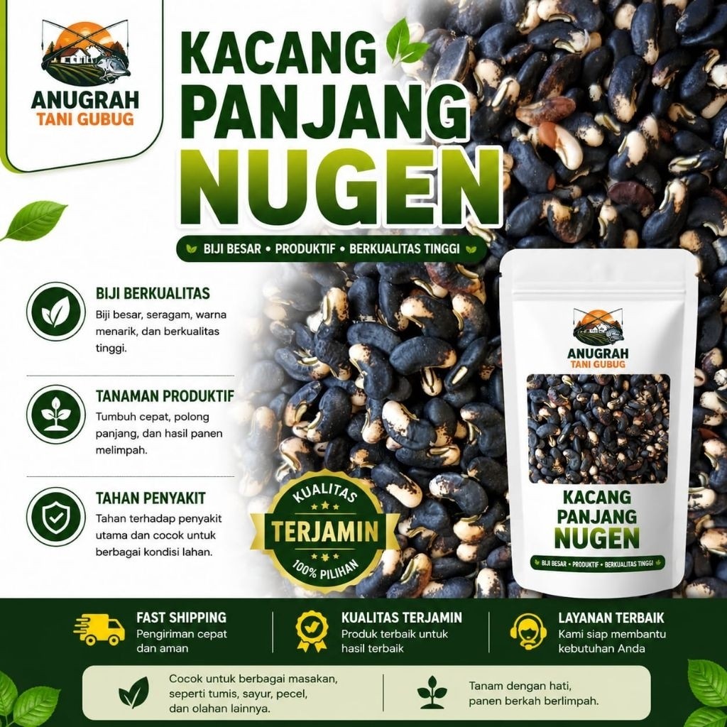 Butir Benih Kacang Panjang Unggul Katrina Nugen - Bibit Kacang Panjang Biji Unggulan