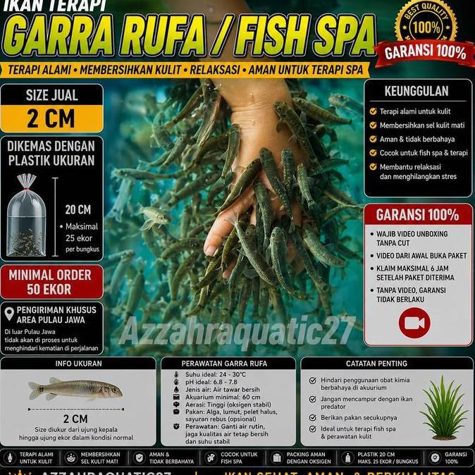 Yous- Ikan Terapi Garra Rufa Fish Spa Size Cm Paket 50 Ekor | Ikan Pembersih Kulit Spa | Garra Rufa 