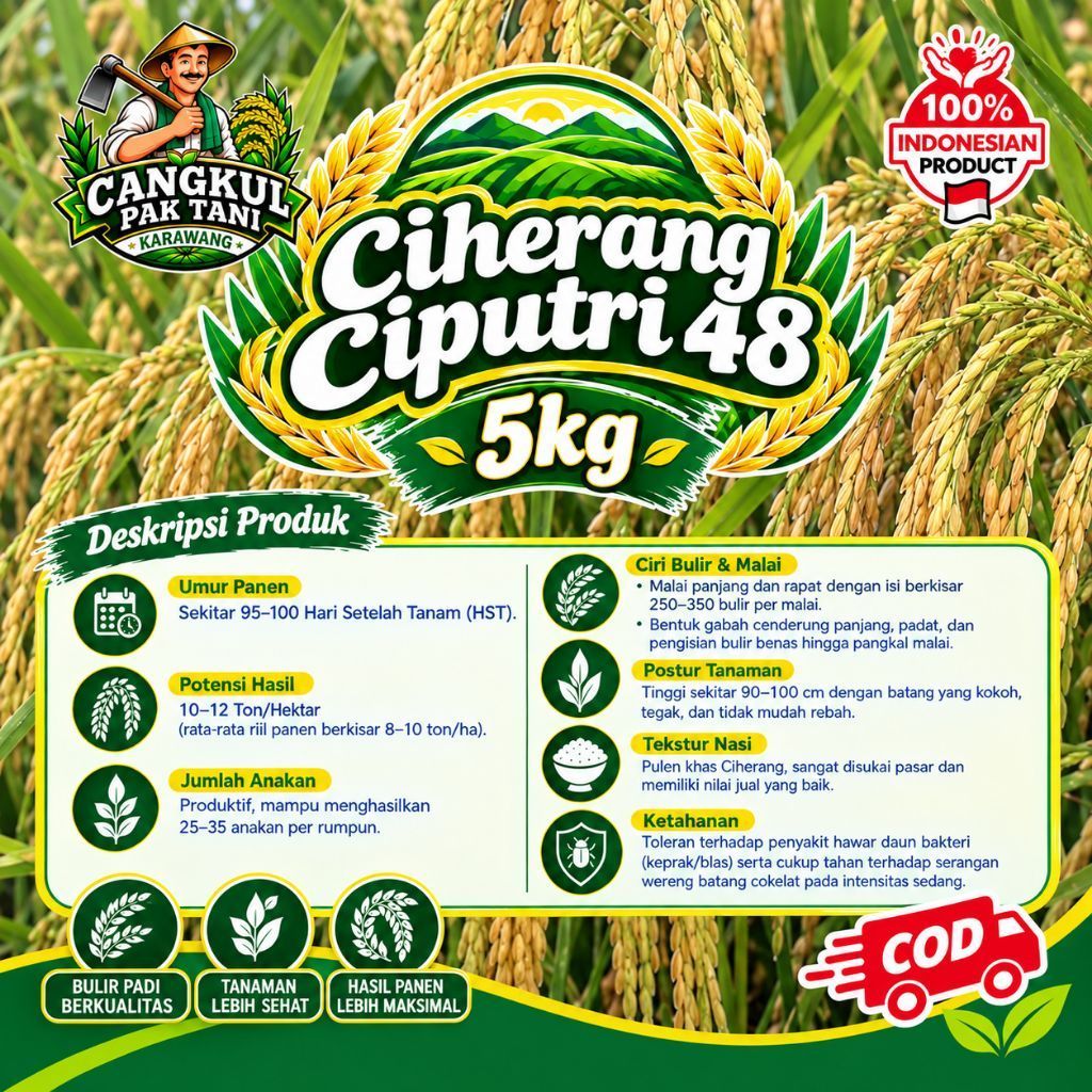 Benih padi Ciherang Ciputri48 kemasan 5kg