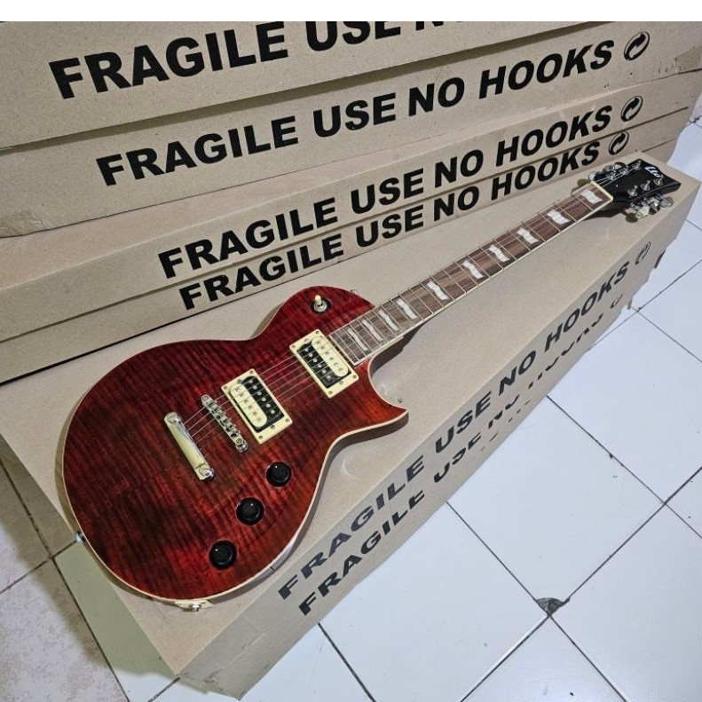Gitar LTD esp custom new