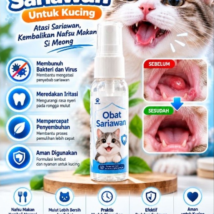 Obat Sariawan Kucing, Obat Calici