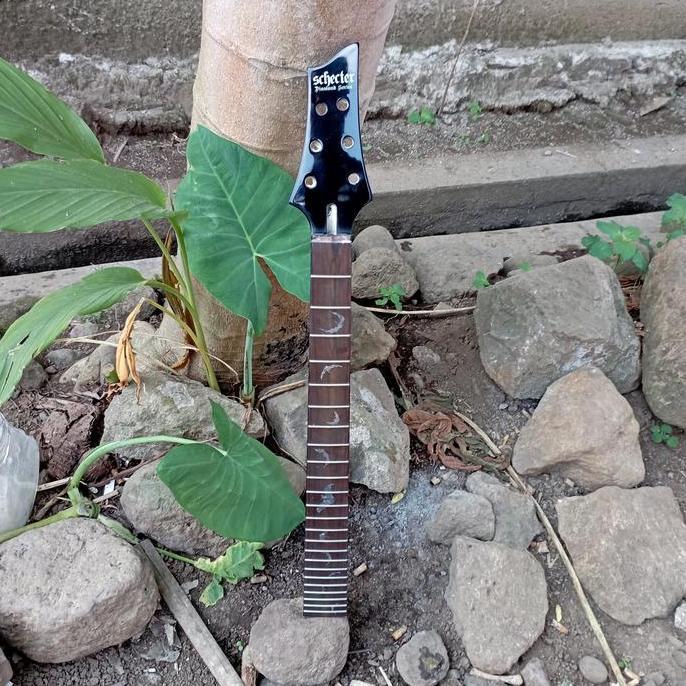 Neck Gitar Schecter Damien 6 String