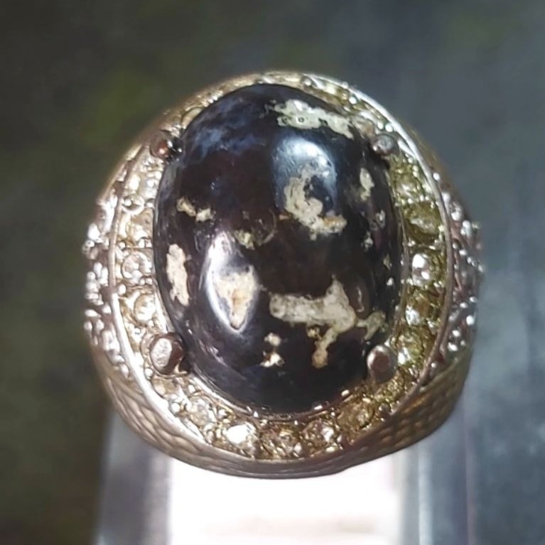Pirus Hitam Situbondo